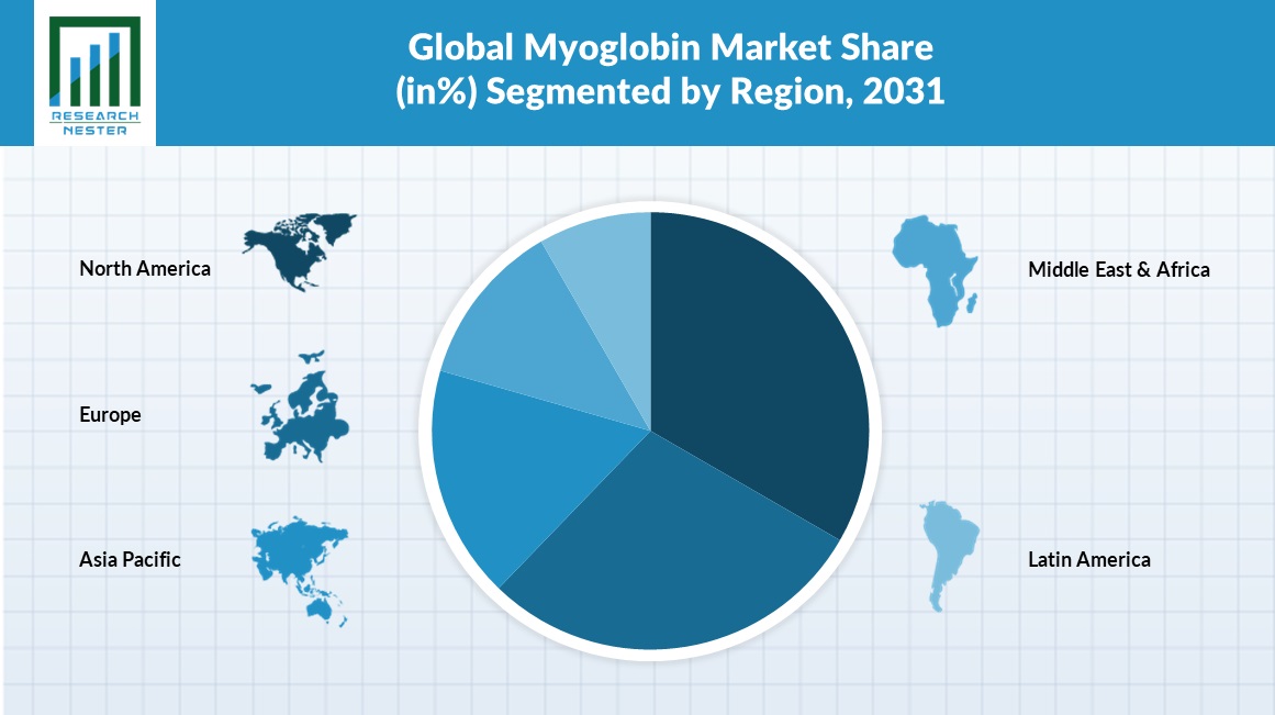 Myoglobin Market Share